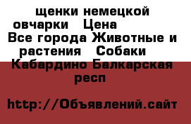 щенки немецкой овчарки › Цена ­ 15 000 - Все города Животные и растения » Собаки   . Кабардино-Балкарская респ.